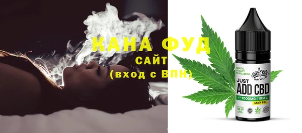 гашик Краснослободск