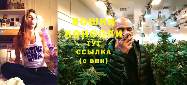 гашик Краснослободск