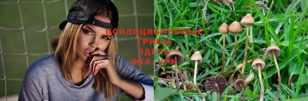 ECSTASY Краснотурьинск