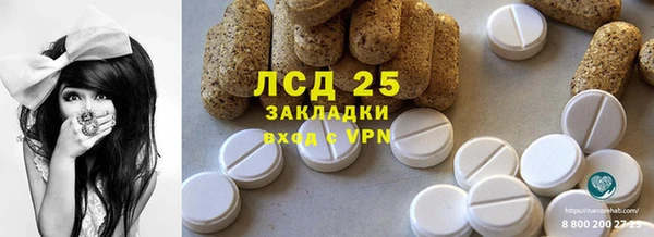 гашик Краснослободск